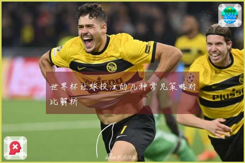 世界杯让球投注的几种常见策略对比解析