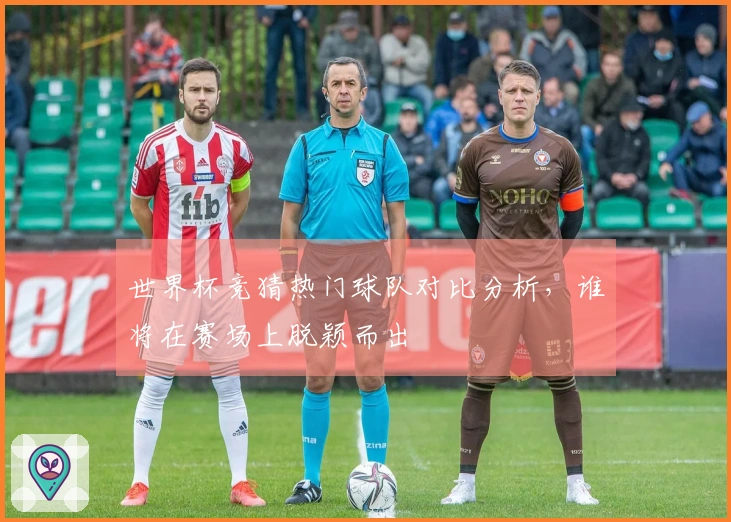 世界杯竞猜热门球队对比分析，谁将在赛场上脱颖而出