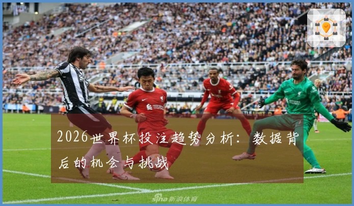 2026世界杯投注趋势分析：数据背后的机会与挑战