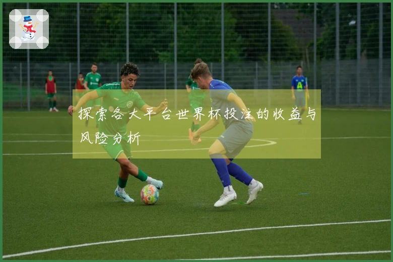 探索各大平台世界杯投注的收益与风险分析