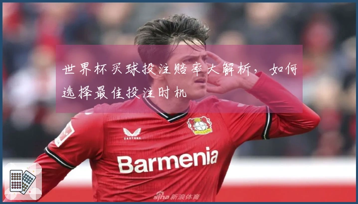 世界杯买球投注赔率大解析，如何选择最佳投注时机