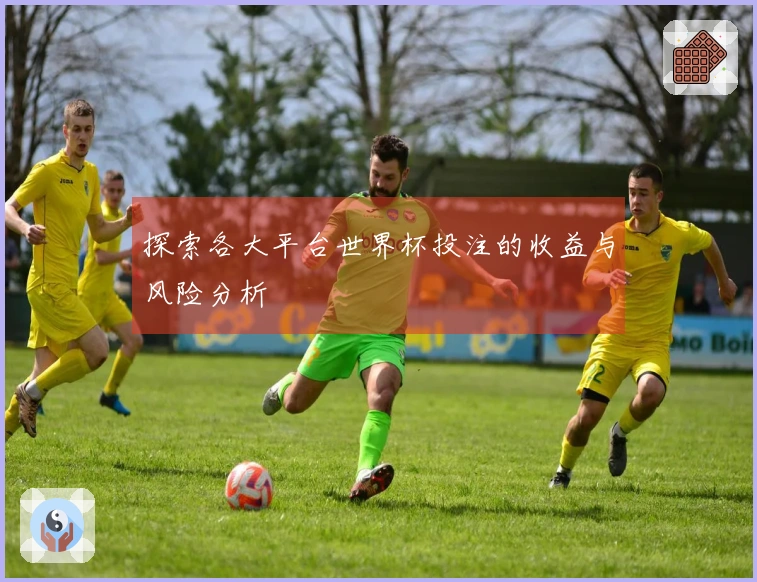探索各大平台世界杯投注的收益与风险分析