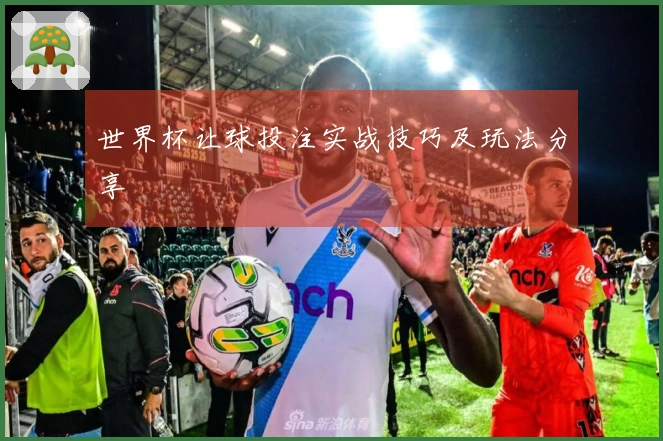 世界杯让球投注实战技巧及玩法分享