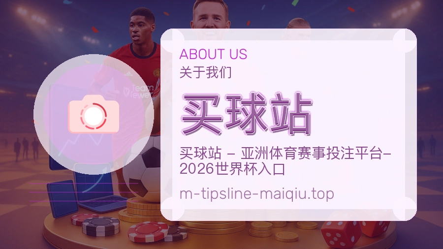 关于 买球站 团队与服务